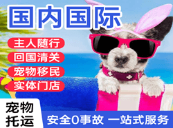 韶关丹霞机场快递国际宠物托运 【国